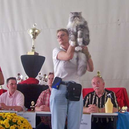 Show Werth, 17-09-2006: Kitty Best In Variateit, Best In Show, Best of Best en Nominatie Best over All!